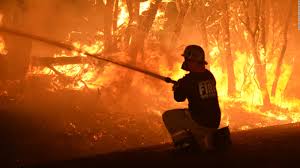 These are all the rules that begin tonight. Millions Of Animals Are Dying From The Australian Wildfires Cnn