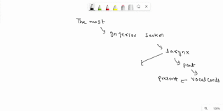 Solved 14 Review Sheet 1 I1. Name The Muscle That Subdivides | Chegg.Com