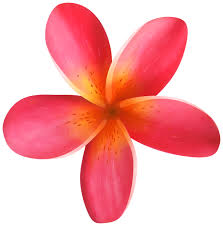 Tropical Flower Png Clip Art Image Tropical Flowers Flower Printable Art Images
