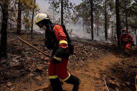 Los medios estatales estarán a. Estabilizado El Incendio Forestal En Tenerife Espana