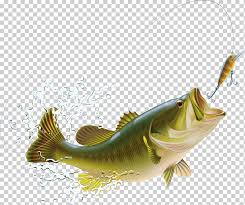 Largemouth Bass Bass Fishing Illustration Cartoon Fish Splash And Spray Cartoon Character Color Splash Splash Png Klipartz Rankin/bass animated entertainment (founded and formerly known as videocraft international, ltd. largemouth bass bass fishing