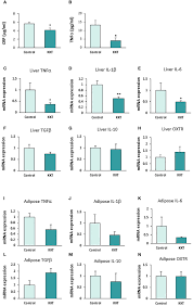 Image result for Erythrococca ulugurensis