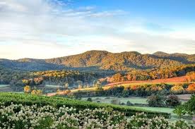 Check spelling or type a new query. 6 Top Wineries To Visit Near Charlottesville Virginia Winetraveler