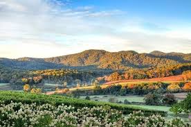 Get to know your apple watch by trying out the taps swipes, and presses you'll be using most. 6 Top Wineries To Visit Near Charlottesville Virginia Winetraveler