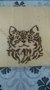 Simarik Kedi Cizim Desenler Cizim Kedi Ve Desenler