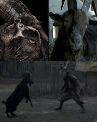 In 2015's 'The Witch' the goat named Black Phillip, was notoriously  difficult to work with on set. The goat, whose real name is Charlie, was  unpredictable and caused trouble during filming, even