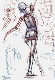 Figuredrawing Info News Human Anatomy Drawing Figure Drawing Anatomy Drawing