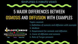 Simple diffusion a process in which the substance moves through a semipermeable membrane or in a solution without any help from transport proteins. 5 Major Differences Between Osmosis And Diffusion With Examples Youtube