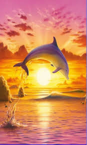 Animals dolphin sea sunset wallpapers hd desktop and mobile. Dolphin Wallpapers For Mobile Group 40