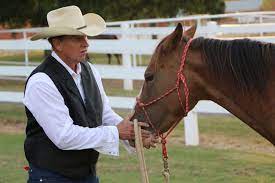 Horse Power The Tulsa Boys Home Uses Horses For Therapy Boys Home Horses Boys