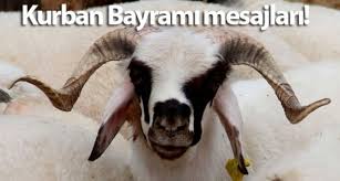 We did not find results for: Kurban Bayrami Mesajlari En Anlamli Resimli Kisa Ve Uzun Mesajlar