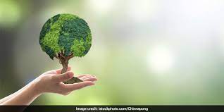 World environment day is the united nations day for encouraging worldwide awareness and action to protect our environment. World Environment Day 2020 All You Need To Know News
