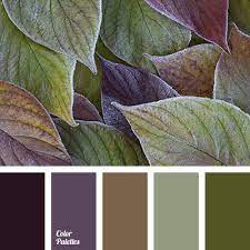 We did not find results for: Color Palettes Color Set Fall Color Palette Color Palette Color Schemes