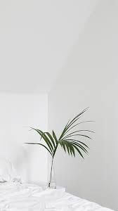 Maybe you would like to learn more about one of these? Green And White Aesthetic Wallpapers Top Free Green And White Aesthetic Backgrounds Wallpaperaccess