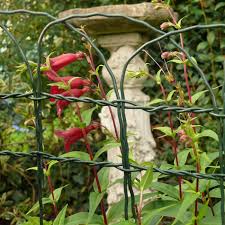 .garden border fencing is an attractive galvanized steel, green pvc coated decorative fencing ideal for garden borders, lawn edges, pathways and garden arch top garden fencing has a thick 2.4mm diameter galvanized steel core wire that is then pvc coated in green to make a 3mm diameter. Arch Top Border Fencing Pvc Coated Decorative Wire Fence