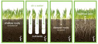 If your yard contains compact plugs of soils or a high amount of clay, you can aerate it twice a year. Dethatch Or Aerate Before Overseeding Advanced Lawn Care Tips