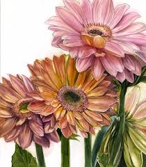 Spring Gerbera Daisy Painting By Alfred Ng