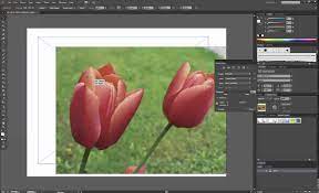 Finden und vergleichen sie adobe photoshop & illustrator online. How To Import Images Into Adobe Illustrator Youtube