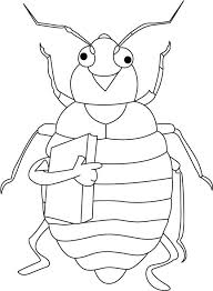 Having done with the coloring, it is the time to display the artwork of colored sheets. Cicada Coloring Pages Preschool And Kindergarten Bug Coloring Pages Insect Coloring Pages Coloring Pages