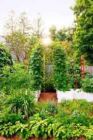Permaculture garden

