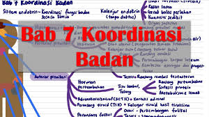 Klik download di bawah bagi mendapatkan slide. Sains Spm T4 Bab 7 Koordinasi Badan Youtube