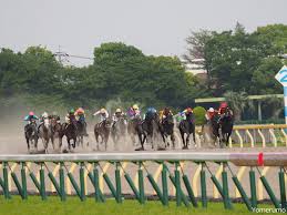 現役の種牡馬・繁殖牝馬の一覧 (※カッコ内は繋養中の国) 引退した競走馬の一覧 (誘導馬・乗馬含む) 関連コミュニティ・チャンネル. è¡æ'ƒ ã‚ã¾ã‚Šã«ã‚‚åå‰ãŒãƒ¦ãƒ‹ãƒ¼ã‚¯ã™ãŽã‚‹ã'ã©ã‹ã‚ã„ã„ç«¶èµ°é¦¬35é€£ç™º ç«¶é¦¬ç•Œã®ã‚­ãƒ©ã‚­ãƒ©ãƒãƒ¼ãƒ ã‚„ è¨˜äº‹è©³ç´° Infoseekãƒ‹ãƒ¥ãƒ¼ã‚¹