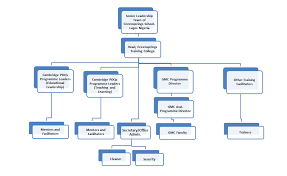 organisational chart greensprings training college