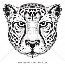 Maybe you would like to learn more about one of these? Black White Vector Vector Photo Free Trial Bigstock