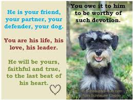 Members of the dog commune herded dogs. Dog Quotes Dog Sayings And Dog Poems