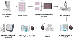 Image result for Neutralization Test