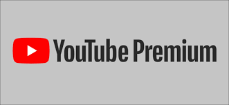 Learn about our brand these examples show the correct application of the youtube logo on different solid backgrounds. What Is Youtube Premium And Is It Worth It