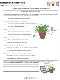 How does cell structure differ in prokaryotic and eukaryotic. Pin On Amoeba Sisters Handouts