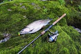 Best Spinning Rod For Trout Fast Action Or Ultralight