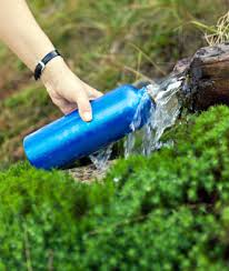If you allow the soil to dry out between watering, you can disrupt the availability of food for the fungus gnat, and make your soil less attractive to them. Cleaning Your Reusable Water Bottle Shape Magazine
