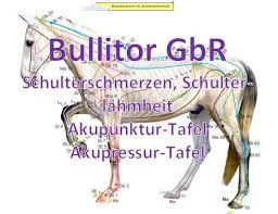 Wie bereits erwähnt, liegen die akupressurpunkte auf den meridianen und von diesen energiekanälen gibt es viele. Schulterbeschwerden Beim Pferd Akupunktur Akupressur Punkte Bullitor Tierakupunktur Tafeln