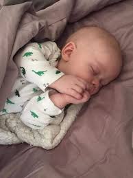 Fundraiser for Brett Michaelis by Katie Long Olive' : Sweet Baby Max