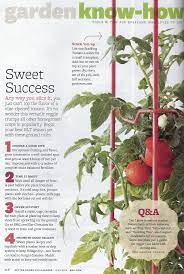 This can be done using a. Pin By Tomato Dirt On Tomato Infographics Growing Tomato Plants Tips For Growing Tomatoes Growing Tomatoes