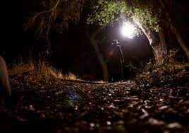 Digging Up The Marrow 2015 Peliculas De Terror