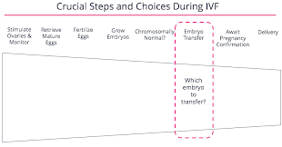 Fertilityiq Which Embryo To Transfer