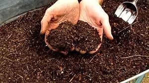 Misalnya, sampah makanan atau sampah organik lainnya. Cara Membuat Pupuk Kompos Dari Sampah Organik Untuk Kesehatan Lingkungan Anda