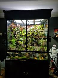 The Rainforest Exhibit Is Almost Complete We Are Still Installing Extra Lighting And Working On A Few Updates Our Poison Rainforest Custom Aquarium Vivarium
