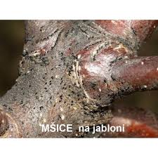 Image result for mospilan prodej