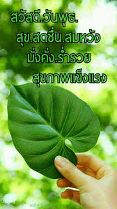 General greetings in the thai language. 16 Thai Good Morning Ideas Good Morning Good Morning Wednesday Good Morning Flowers