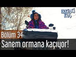 erkenci kus 34 bolum sanem ormana kaciyor youtube sanem the dreamers youtube