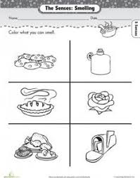 The Five Senses Smelling Five Senses Worksheet Senses Five Senses Kindergarten