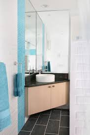 corner utility sink modern powder room