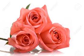 Always on time, farm direct delivery! Orange Peach Color Tone Of Rose Flower Bouquet Isolated On White Background Stock Photo Picture And Royalty Free Image Image 144045549