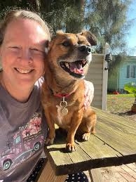 Labrador having fun playing fetch