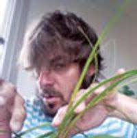 August 2012 Staff Picks: Fire Power