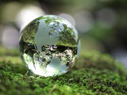 Image result for world environment day